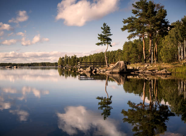 Stockholm archipelago Sweden Baltic sea islands nature forest