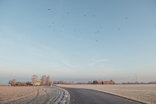 Winter nature landscape in Sweden