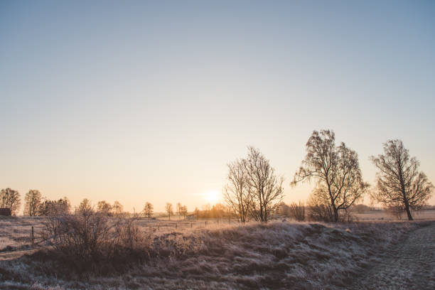 istock Winter nature landscape in Sweden 640829474