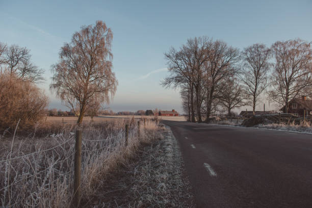 Winter nature landscape in Sweden