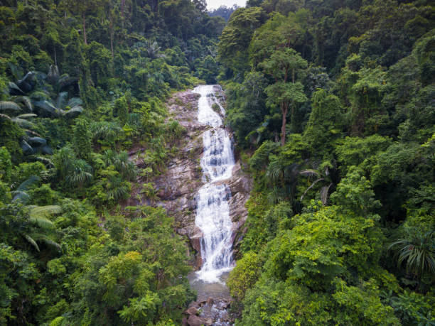 istock Aerial shot tropical forest and  Waterfall  south Thailand 640831704