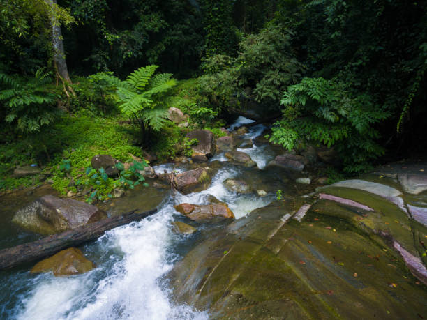 istock Aerial shot tropical forest and  Waterfall  south Thailand 640831732