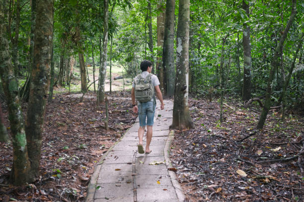 istock Businessman with backpack and laptop and phone at  waterfall  the forest. 640832198