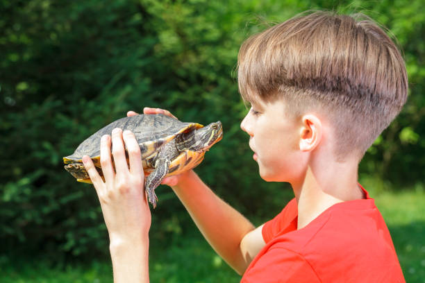 istock Teen boy with turtle outdoor 640834874