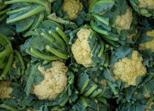 istock Group of cauliflower at market 640841442