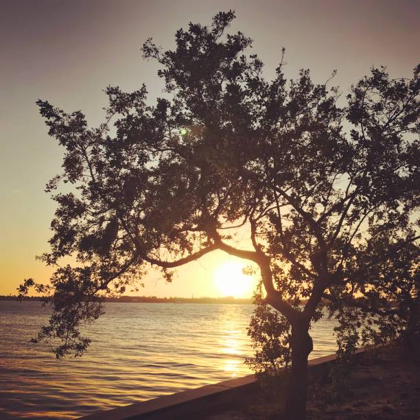 istock Sunset on Lake Worth, Florida, USA 640869686