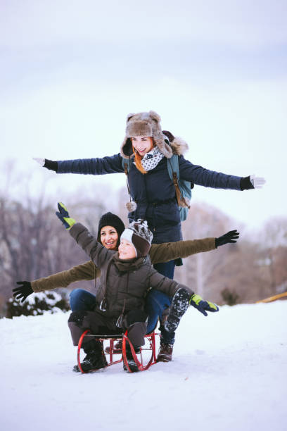 istock Flying In The Snow 640871820