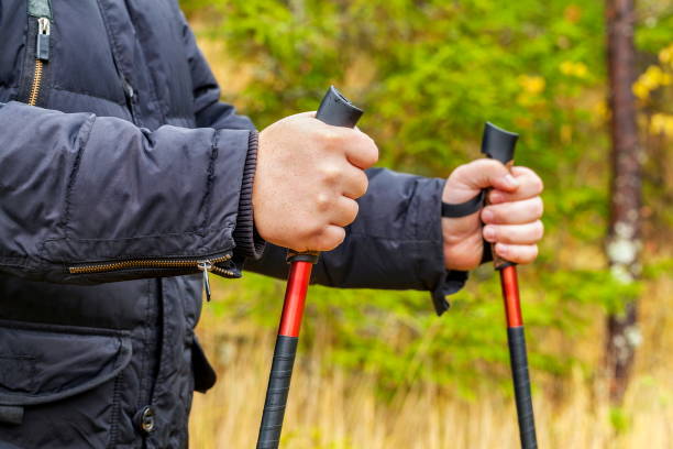 istock Hiker with hiking poles in forest 640897644