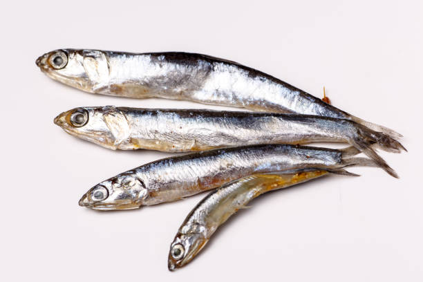 istock Anchovy from the Black sea - salted small fish lying on a white background, not isolated. 640899016
