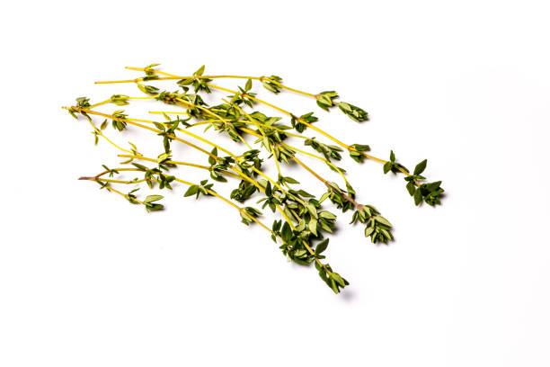 istock Fresh thyme sprigs lie on a white background, not isolated. 640899018