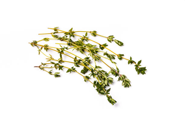 istock Fresh thyme sprigs lie on a white background, not isolated. 640899020