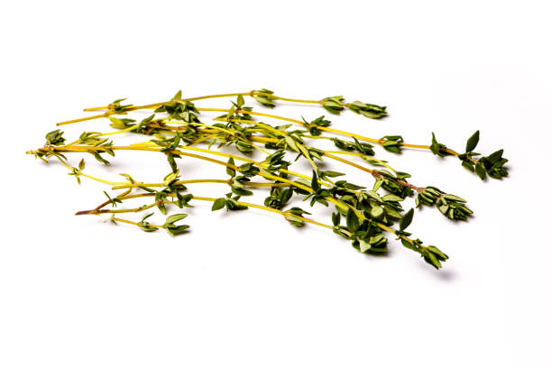 istock Fresh thyme sprigs lie on a white background, not isolated. 640899022