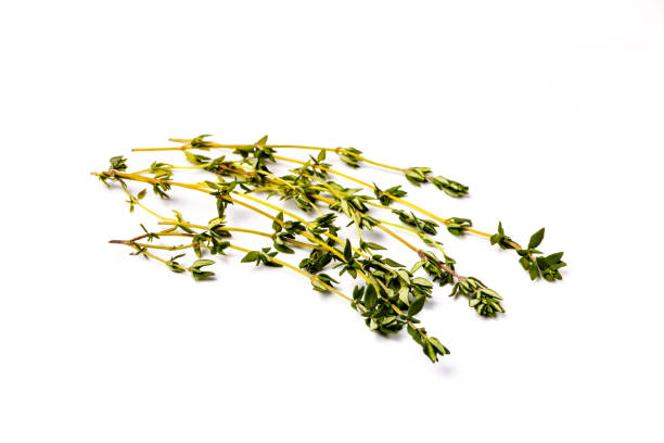istock Fresh thyme sprigs lie on a white background, not isolated. 640899024