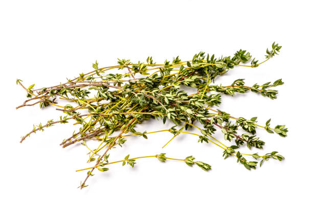 istock Fresh thyme sprigs lie on a white background, not isolated. 640899034