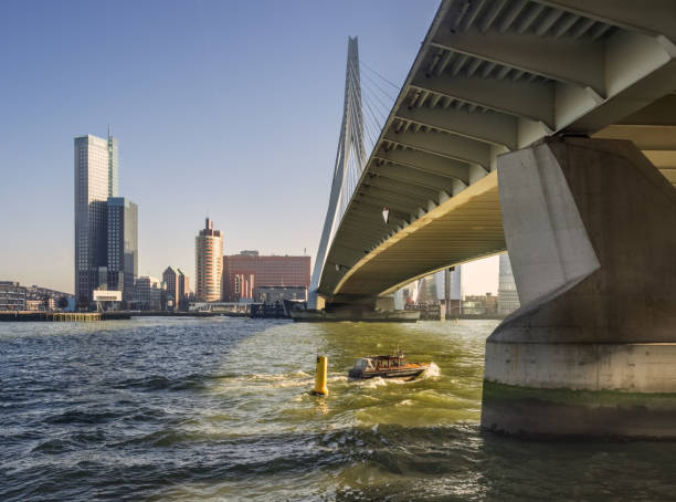 A special view of Erasmus bridge in Rotterdam stock photo