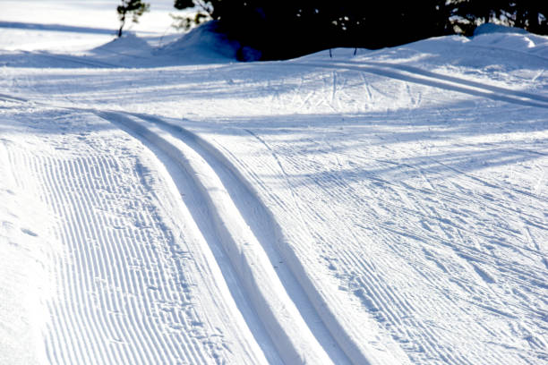 istock Winter day - focus on cross country trail 640904654