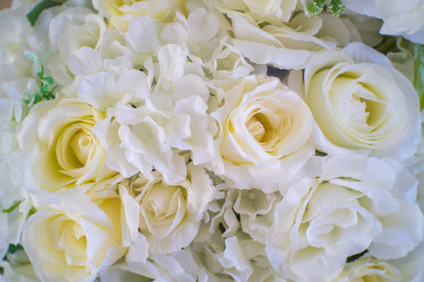 istock Roses for Valentine's Day background 640907082