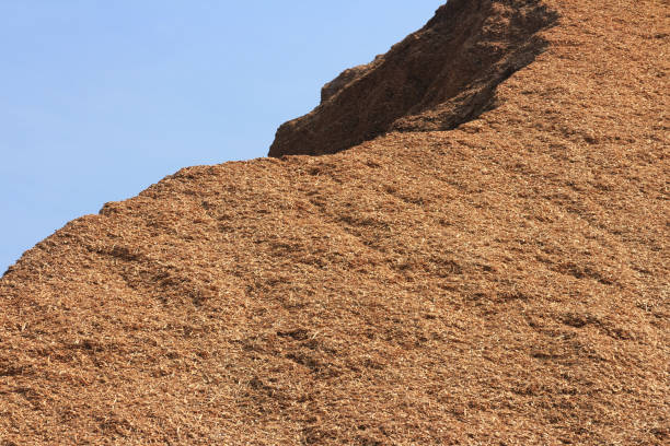 istock Wood Chip Mountain Close up 640907684