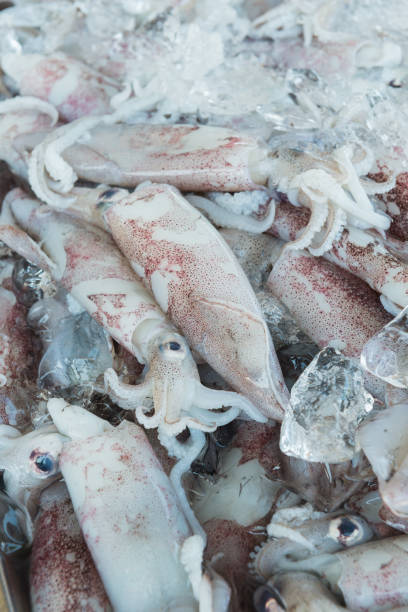 istock Fresh squids in a market local market 640907894