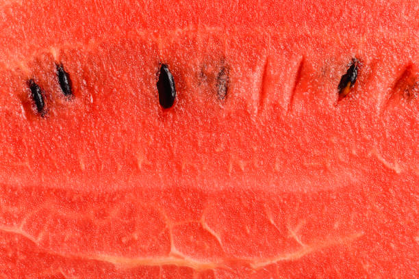 istock slices of watermelon close up 640910548