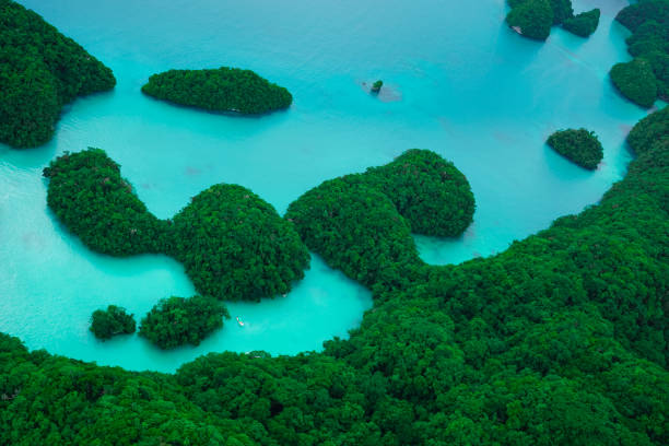 palau viewed from the sky - micronesia lagoon palau aerial view imagens e fotografias de stock