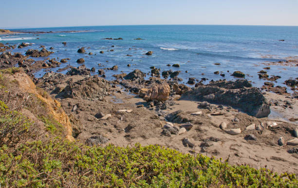 istock Big Sur in California 640912440
