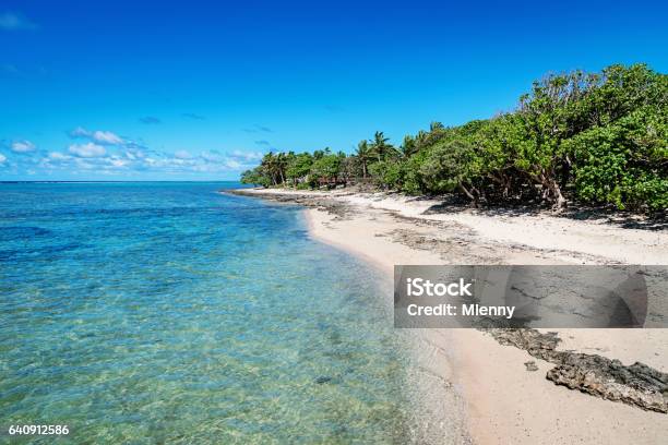 Fiji Natural Beach Fiji Island Stock Photo - Download Image Now - Suva, Fiji, Tourist Resort