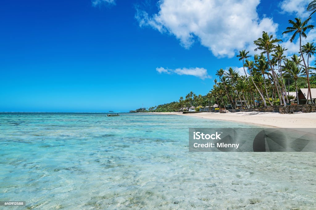 Beautiful Natural Beach Fiji Island Beautiful natural beach with palm trees and clear turquoise water. Fiji, Fiji Island, Melanesia Fiji Stock Photo