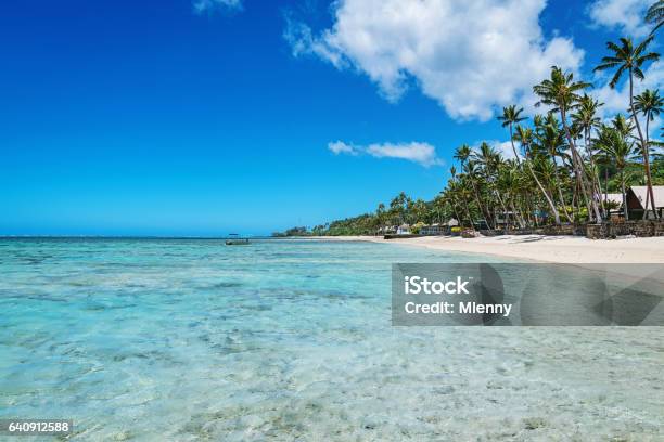Beautiful Natural Beach Fiji Island Stock Photo - Download Image Now - Fiji, Nadi, Suva