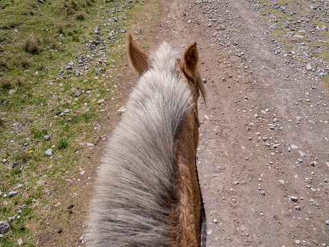Horse on mountain dirt road with Rider Point of View