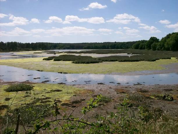 istock Marshland to Noyalo from France 640921420