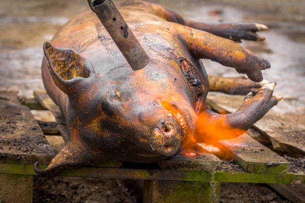 istock Traditional pig sacrifice custom in Romania. 640922902