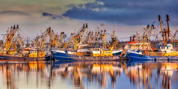 istock Fishing ships in Lauwersoog 640928664