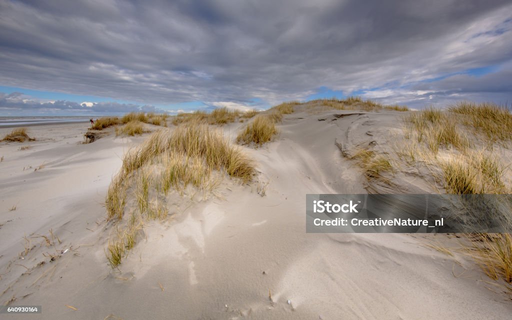 Young coastal Dunes on uninhabited Rottumerplaat island in the Waddensea, Netherlands Ameland Stock Photo