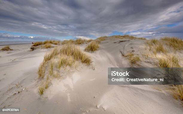 Young Coastal Dunes On Uninhabited Rottumerplaat Island In The Waddensea Netherlands Stock Photo - Download Image Now