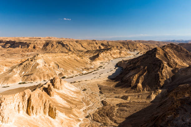 istock Morning in the Negev desert 640940372