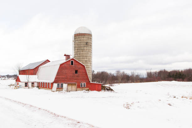 istock Winter in Upstate New York 640945128
