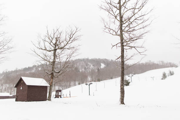 istock Winter in Upstate New York 640945226