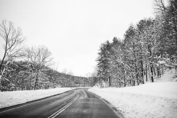 istock Winter Wonderland in Upstate New York 640946330