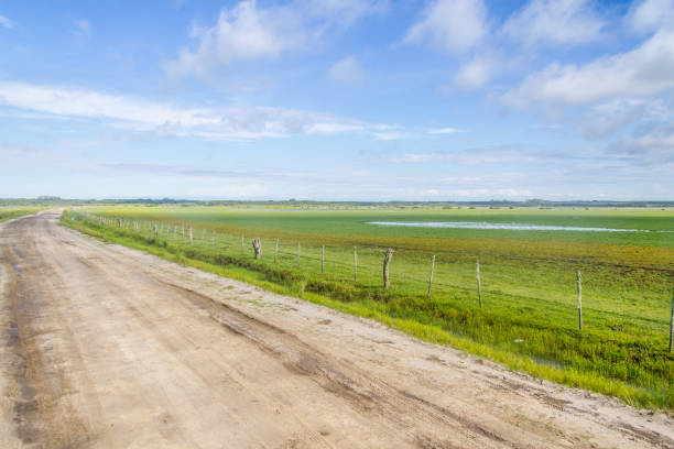 istock Dirty road to Lagoa do Peixe lake 640950976
