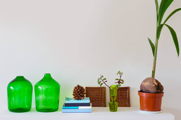 istock Plants and beautiful mantel decorations 640953040