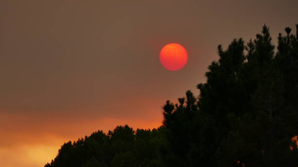 istock Sunset in Los Angeles during forest fires 640962470