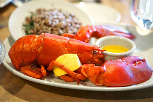 istock Lobster with lemon and brown rice 640969400