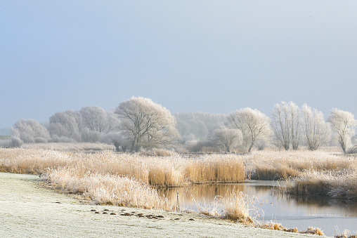 Frozen winter river landscape at the river IJssel in Overijssel, The Netherlands, with a beautiful sky.