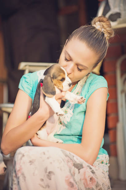 istock Girl with beagle puppies 640974140