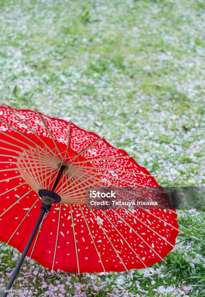 Ombrello Rosso Giapponese Su Erba Di Vetro Verde - Fotografie stock e altre  immagini di Bellezza - Bellezza, Ciliegio, Città di Kyoto - iStock