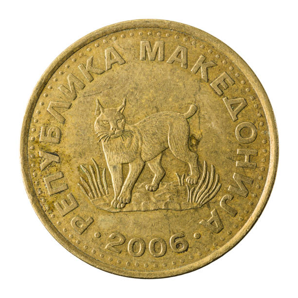 istock 5 macedonian denar coin (2006) reverse isolated on white background 640979028
