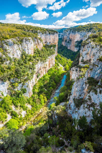 canyon di arbayun nei pirenei spagnoli - pyrenean foto e immagini stock