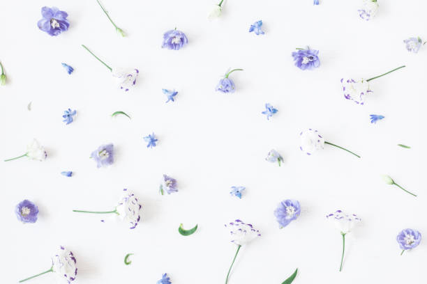 istock Floral composition. Frame made of lilac flowers. Flat lay 640982236