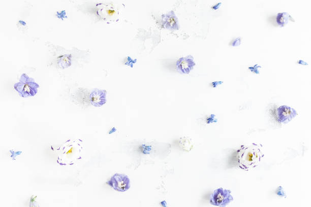 istock Floral composition. Frame made of lilac flowers. Flat lay 640983256